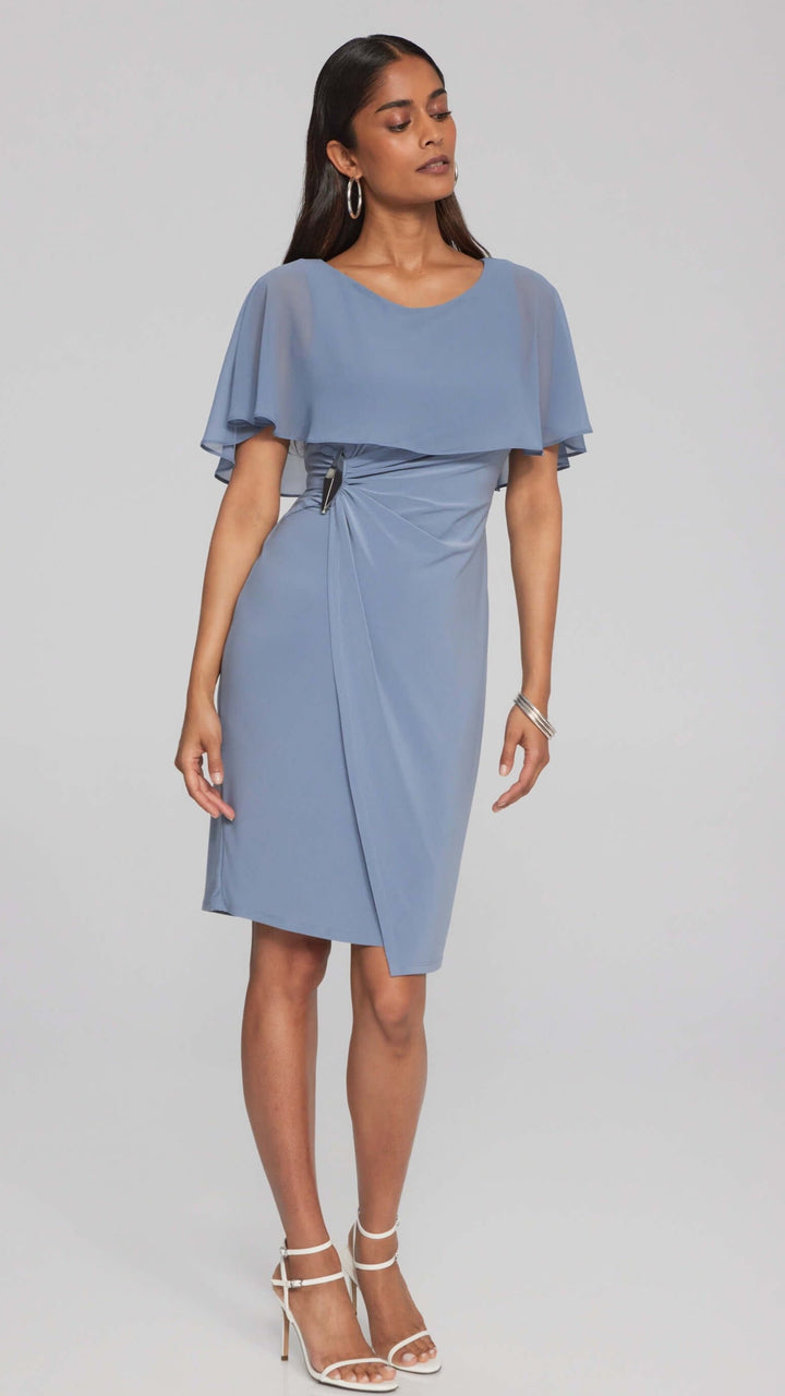 Chiffon Cape Signature Sheath Dress 241708 Size 12