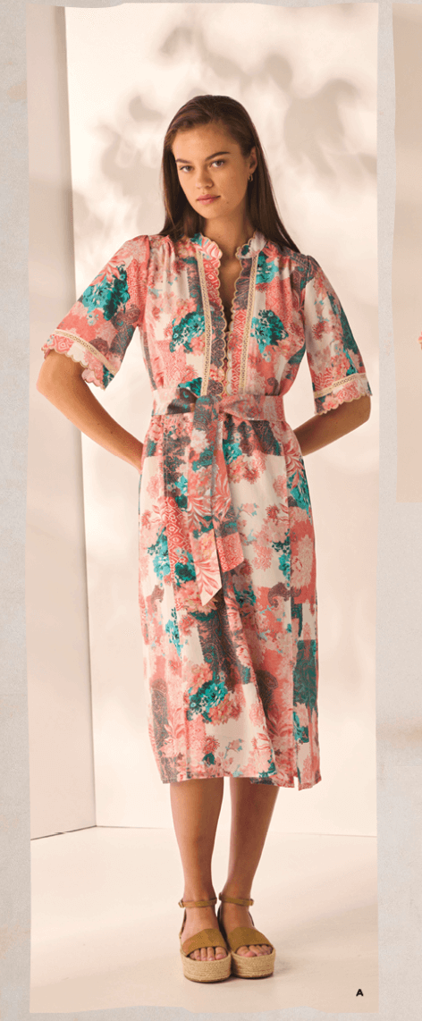 Chantelle Print Dress